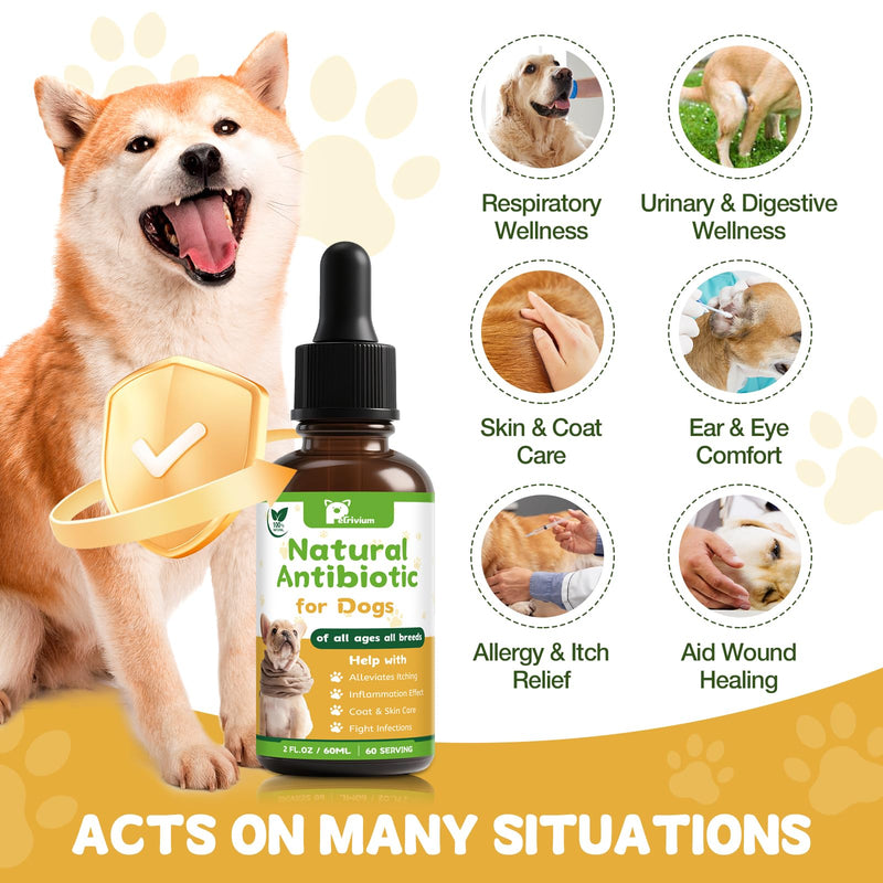 Dogs Antibiotics for Infection Coughs, UTIs, Allergies, Itching - Natural Antibiotics Supplement Drops for Cats to Support Digestion and Urination | Skin & Coat | All Breeds & Ages | 2 Oz