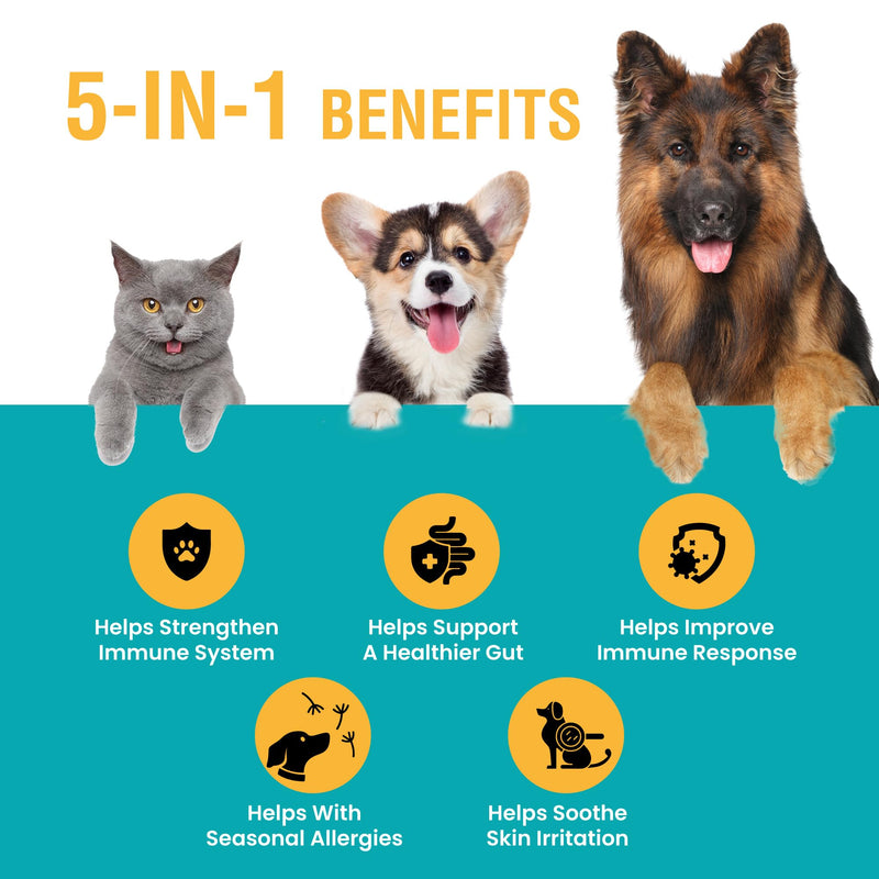 Allergy & Immune with Elderberry, Allergy Relief for Cats and Dogs, Anti Itch Treatment, Relief for Pet Allergies, Immune Support for Cat or Dog, 2 oz 1 Count (Pack of 1) - PawsPlanet Australia