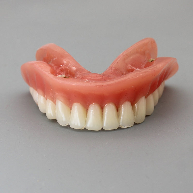 Dental Model Overdenture Inferior 4 Implants Demo for Teaching and Studying