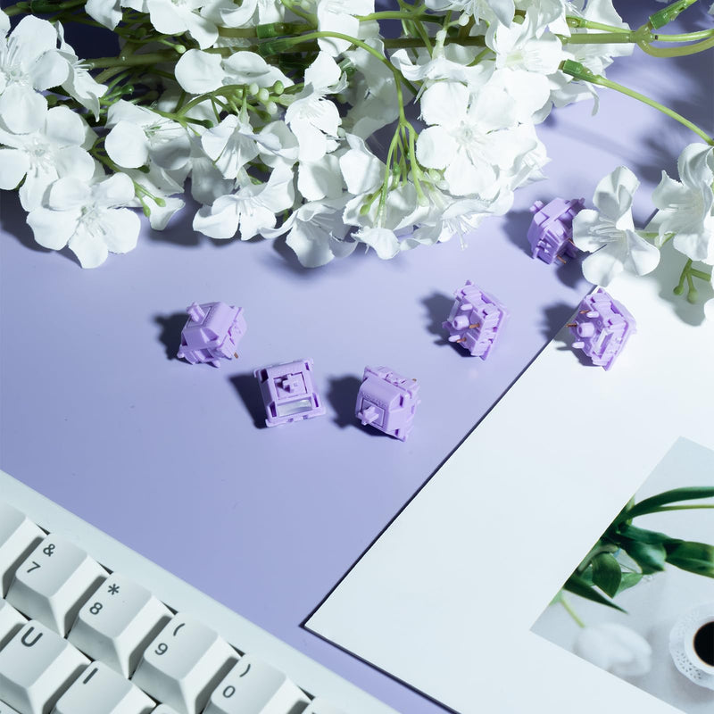 GATERON Smoothie Series Keyboard Switches, Linear Tactile Silent RGB LED 5 Pin Factory Pre-lubed Full POM Key Switches for MX Mechanical Keyboard (Grape Smoothie, 110) Grape Smoothie