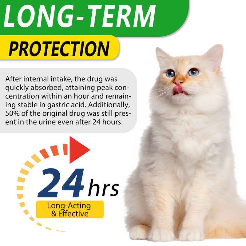 Cat Antibiotics for Infection, Natural Antibiotics for Cats, Cat Multivitamins, Cat Antibiotic Supports Immune and Cat Allergy Itch Relief, Pet Antibiotics Supplements, Chicken Flavor, 4 Fl Oz/2 Pack - PawsPlanet Australia