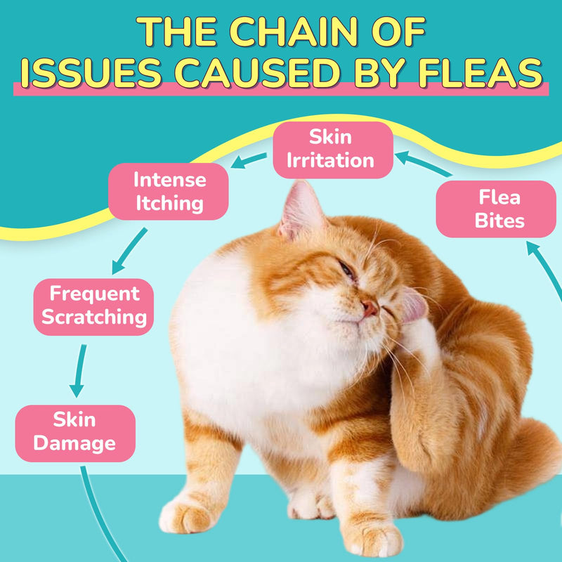 Woyamay Cat Flea Care Bundle – Flea Prevention Soft Chews + Flea & Itch Relief Crunchy Chews, Skin, Coat, Gut & Immune Support, Daily Oral Flea Treatment for Cats