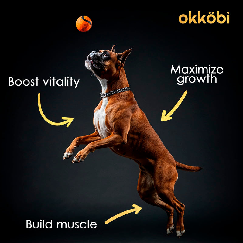 11-in-1 Muscle Gain Chews - Weight Gain Supplements for Dogs with High Protein & Amino Acids - Premium Muscle Builder for Bully & All Breeds - Healthy for Puppies - 150 Chews - Chicken