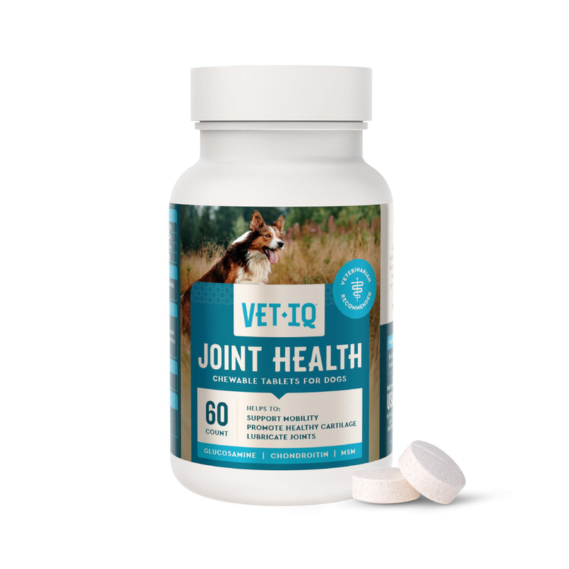 VetIQ Hip & Joint Health Supplement for Dogs, with Glucosamine, Chondroitin & MSM, Chewable Tablets for Dogs, Chicken Flavor, 60 Count Standard Strength 60 Count (Chewable Tablets)