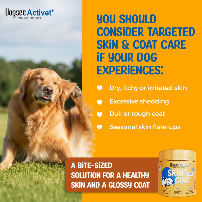 Dogsee Activet+ Dog Skin Coat Supplement Chews, with Omega 3, Omega 6,EPA & DHA, Biotin & Collagen, Stops Itchy Skin, Reduces Shedding, Promotes Shiny Coat, Healthy Skin, Chicken Flavor - 90 Chews Skin & Coat - Chicken
