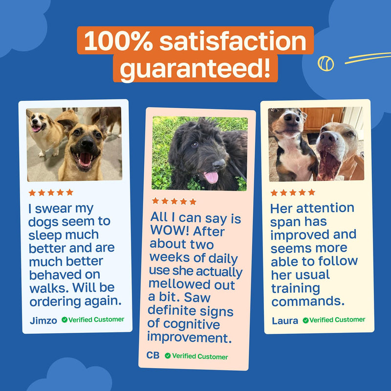Happy Paws Cognitive Taurine Supplement for Dogs, Soft Chews with Spirulina, CoQ10 & Vitamins B1, B3, B12, Senior Dog Vitamins that Support Cognitive Function, Memory and Focus, 100 Count