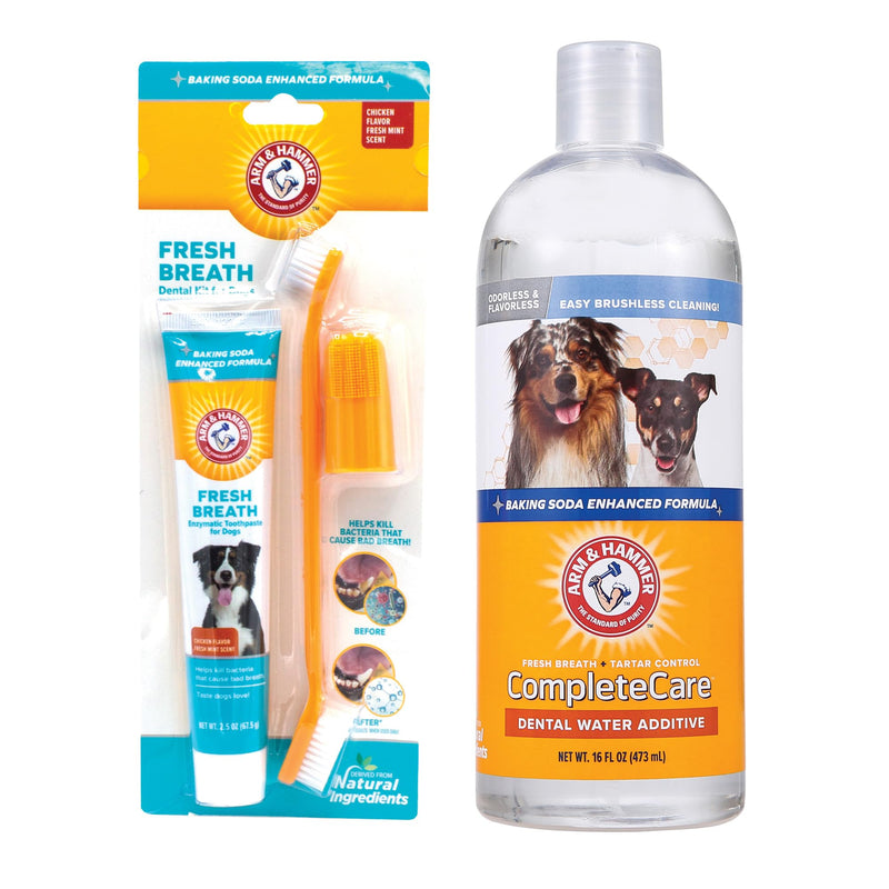 Arm & Hammer Fresh Breath Dog Dental Care Kit with Toothbrush & Chicken Toothpaste (2.5 oz) + Complete Care Flavorless Water Additive for Dogs, Dog Mouthwash & Bad Breath Treatment (16 oz)