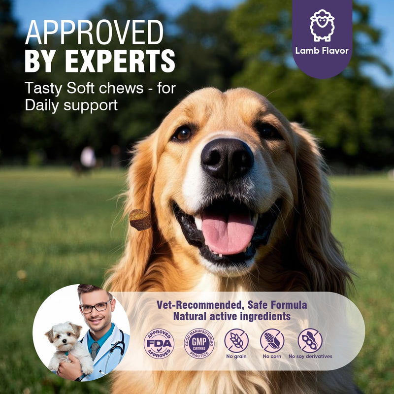 Dog Allergy Chews 200ct - Dog Allergy Itching Skin Relief & Immune Support Anti Itch Probiotics for Yeast, Itchy Skin and Itchy Ears, Vitamins for Seasonal Allergies Itchy Skin, Gut Health, Lamb