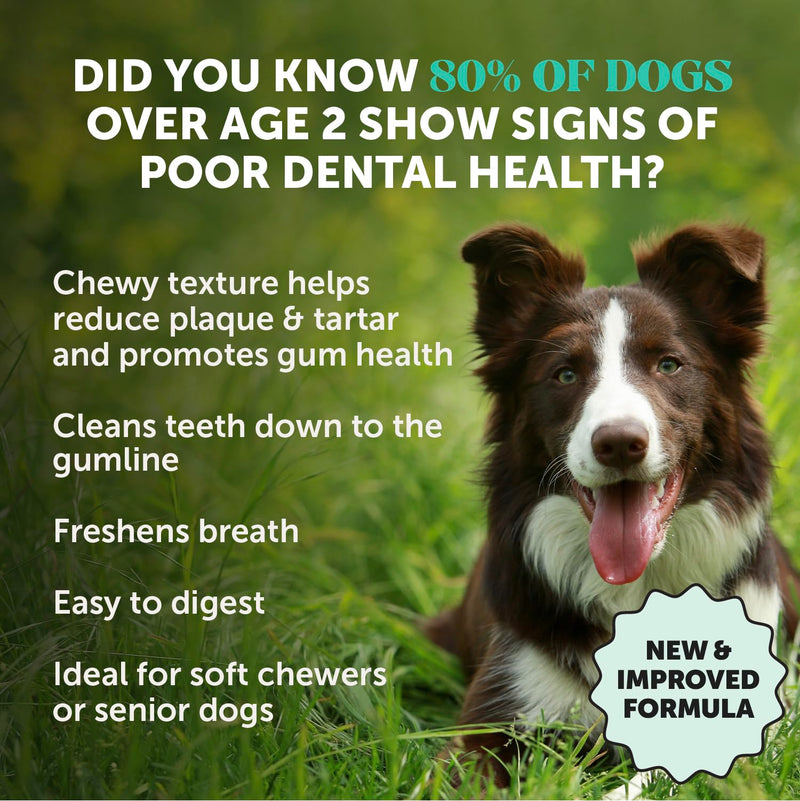 Dog Dental Treats Fresh Breath Sticks - Plaque and Tartar Remover for Dogs Teeth Cleaning Chews for Bright Teeth - Dog Dental Sticks for Oral Care, Gum Health + Bad Breath Treatment (Mint, 16 Ct)