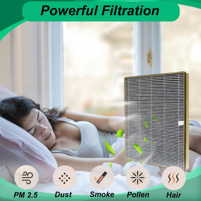 2 PACK TT-AP002 True HEPA Replacement Filter