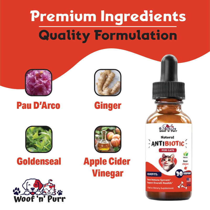 Natural Cat Antibiotic - Antibiotics for Cats - Pet Antibiotics - Cat Antibiotics - Cat Allergy Relief for Cats - Antibiotic for Cats - Cat UTI Antibiotics - 1 fl oz: Roast Chicken Flavor - PawsPlanet Australia