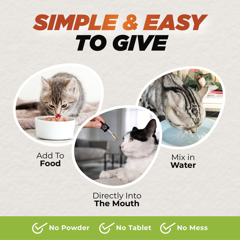 Natural Dewormer for Cats | Herbal Blend with 3 Powerful Medicinal Herbs | 100% Natural | Supports Gut & Intestinal Health | Gentle Yet Effective - PawsPlanet Australia