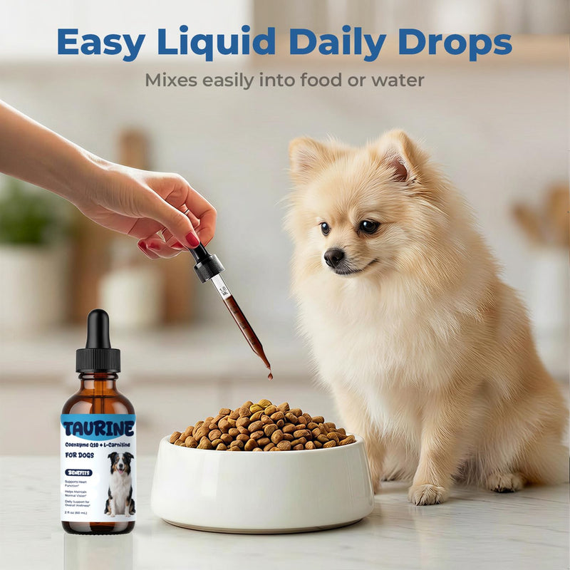 Taurine Supplement for Dogs Liquid Drops with Coenzyme Q10 & L-Carnitine – Supports Heart, Energy & Daily Activity – Easy to Add to Food, 60 ml 60 ml (Pack of 1)