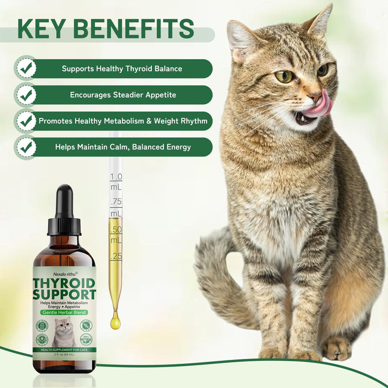 Thyroid Support for Cats - Effective Appetite Stimulant and Weight Gainer,Helps Balance Metabolism and Promote Healthy Weight Gain for Cats,Vet-Formulated Herbal Supplement–with Bugleweed, Lemon Balm