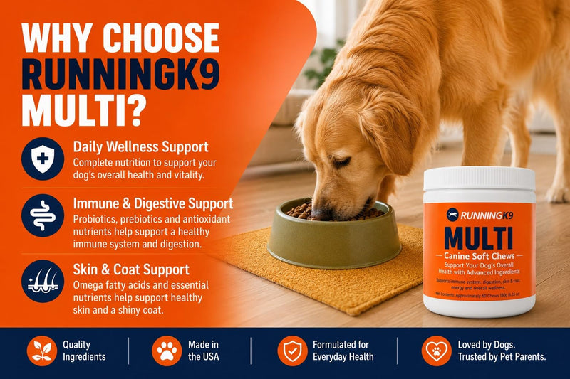 Complete Multi Canine Soft Chews – Dog Multivitamin with Probiotics, Mushrooms, Salmon Oil, Glucosamine & MSM – Immune, Digestive, Skin & Coat Support – 60 Soft Chews