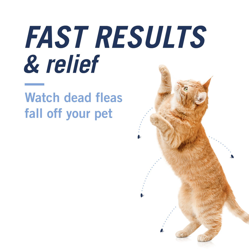 PetArmor CAPACTION (nitenpyram) Oral Flea Treatment for (Cat 6 Doses) + Bonus PetArmor Plus Flea and Tick Treatment & Prevention for Cats Over 1.5 lbs (1 Dose)