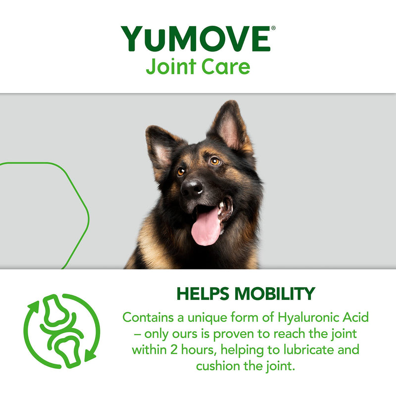 Lintbells YuMOVE Daily Bites For Senior Dogs | High Strength Hip and Joint Supplement Designed for Older, Stiff Dogs, with Glucosamine, Chondroitin, Green Lipped Mussel | Aged 9+ | 60 Chews, White 60 count - PawsPlanet Australia