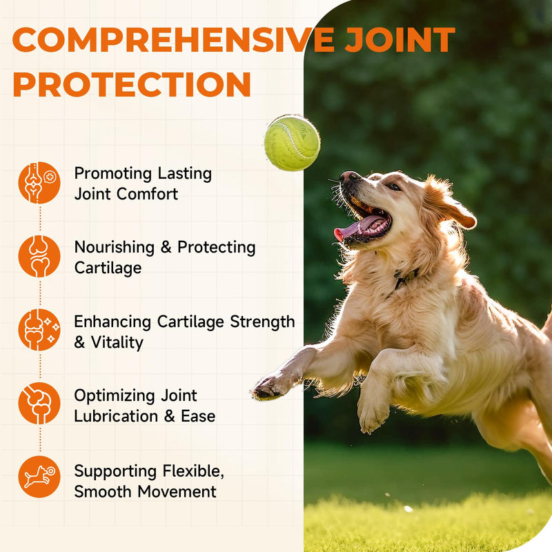 Dog Hip & Joint Supplement, 180 Chicken Chews - Glucosamine Chondroitin MSM Turmeric for Large Breed & Senior Dogs 180 Count
