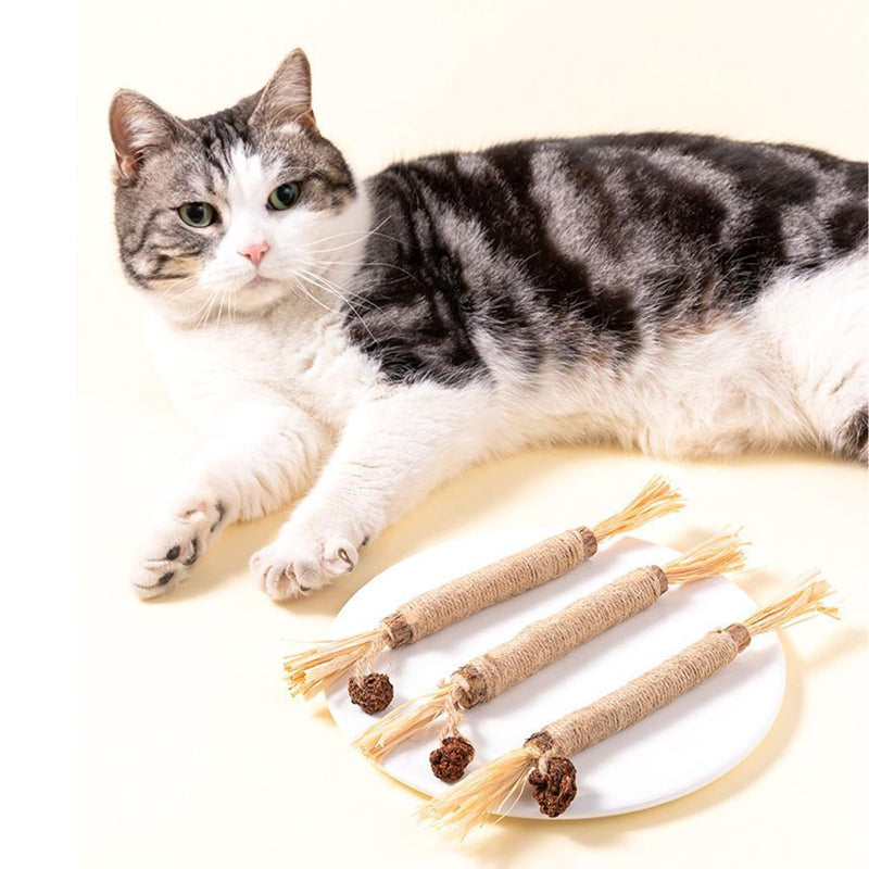 UBIETY Natural Silvervine Dental Sticks, silvervine Sticks for Cats，Natural Cat Chew Stick, Interactive Kitten Chew Playthings, for Indoor Kitty Nip Teeth Cleaning Dental Care Biting (10PCS) 10PCS