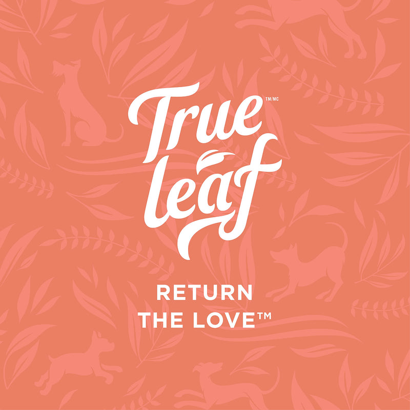 True Leaf Pet Hemp Hip + Joint Chews 200 g - Support Mobility with Natural Ingredients - Green Lipped Mussel, Turmeric Extract