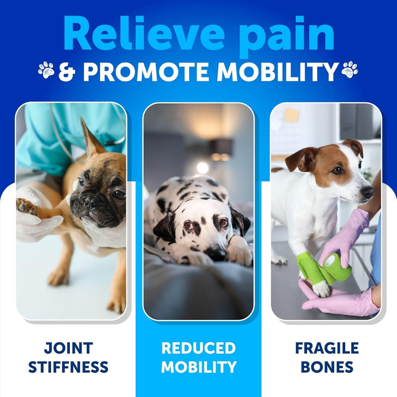Hemp Hip and Joint Supplement for Dogs - Glucosamine for Dogs Joint Pain Relief - Chews with Chondroitin, MSM, Hemp Oil - Mobility Support, Cartilage Health - For Large, Small breeds - 120 Soft Treats Hip & Joint Hemp Chews 8 oz