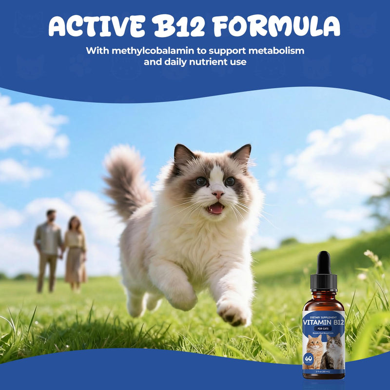 Vitamin B12 Appetite Stimulant Drops for Cats, Methylcobalamin Liquid Cat Supplement for Appetite, Energy & Metabolism Support, Helps Picky or Low-Energy Cats Eat & Thrive, 2 fl oz