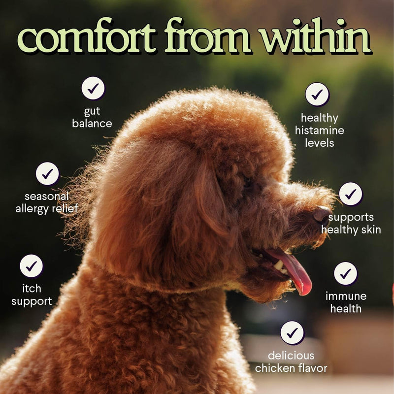 Premium Allergy & Immune Probiotics for Dogs – Allergy Relief, Itchy Skin Relief, Scratching, Digestion, Seasonal Allergies & Immune Support - Allergy Immune + Itch With Quercetin & Mushrooms - 2.12oz