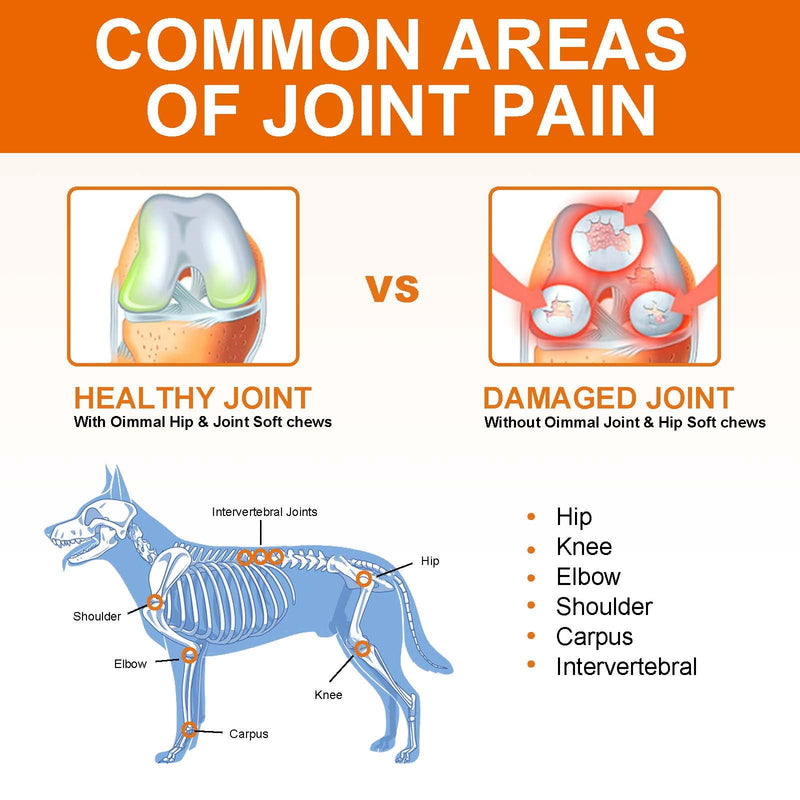 Joint & Hip Chews for Dogs, Dog Hip and Joint Supplement with Glucosamine, MSM, Vitamin & Turmeric Support Mobility & Joint Pain Relief for Small, Medium and Large Dogs - 150 Soft Chews / Duck Flavor