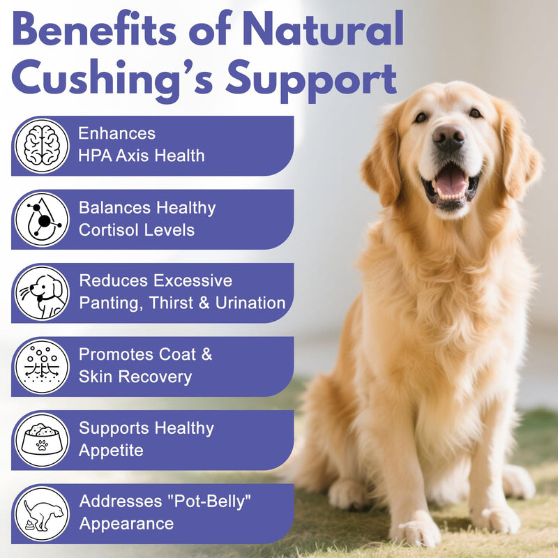 Adrenal Balance for Dogs with Cushing’s | Supports Healthy Adrenal Function & Balanced Cortisol Levels | Helps with Excessive Panting, Thirst & Urination | 2 fl oz