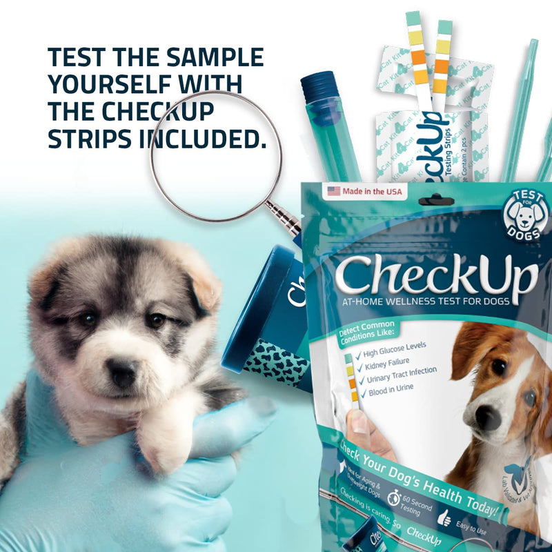CheckUp Kit at Home Wellness Test for Dogs | Telescopic Pole, Detachable Cup & 2 Test Strips | Detects 4 Most Common Pet Health Indicators - Glucose, Protein, pH and Blood in Urine | 2 Strips 4 Parameters Strips - PawsPlanet Australia