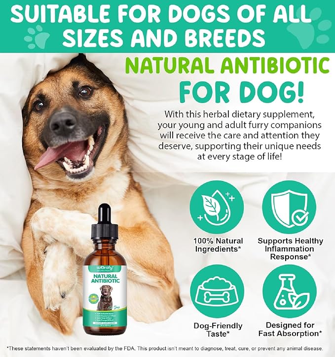 Dogs Antibiotics for Infection Coughs, UTIs, Allergies, Itching - Natural Antibiotics Supplement Drops for Cats to Support Digestion and Urination | Skin & Coat | All Breeds & Ages | 2 Oz