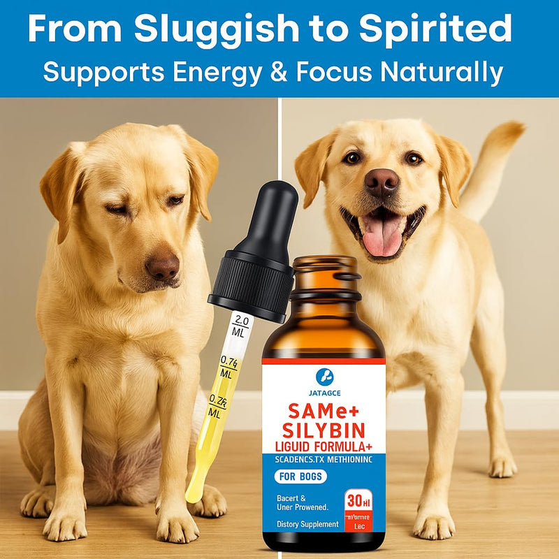 SAMEe for Dogs 500mg Liquid Drops with Silybin – Bacon Liver Flavored Liver Support Supplement for Dogs – S-Adenosyl Methionine & Milk Thistle Extract – 30ml (1oz) 1 Fl Oz(Pack of 1)