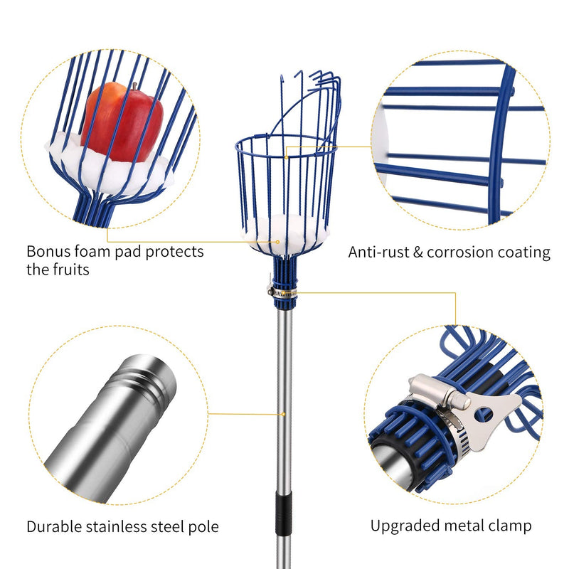 Oak Leaf Fruit Picker, 13 Foot Fruit Picker Pole with Basket Apple Orange Picker Tool Tree Fruit Catcher with Lightweight Stainless Steel Connecting Pole, Sturdy Basket with Foam Pad, Metal Clamp