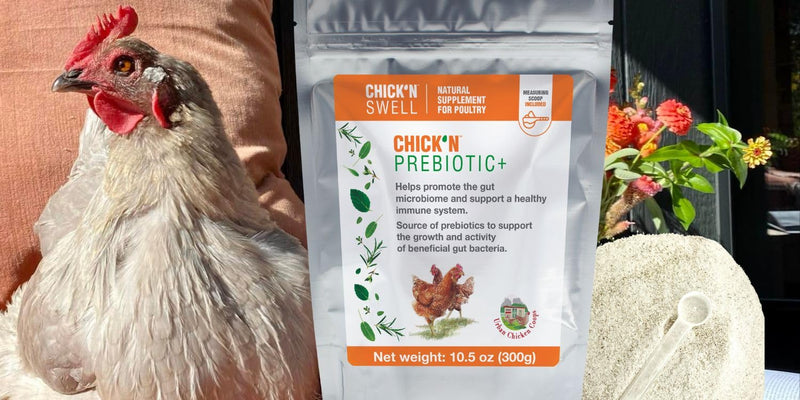 ChicK'N Swell Poultry Prebiotics from Chick'n Prebiotic+ | Supplement with Vitamins for Backyard Chickens and All Poultry of All ages-10.5 oz. - PawsPlanet Australia