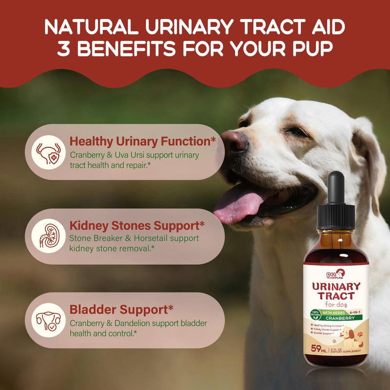 Urinary Tract Drops for Dogs, Dog Cranberry Supplement for Healthy Urinary Function, Kidney Stones Support & Bladder Support. Natural Blend w/Uva Dandelion Horsetail Extract. 2 oz