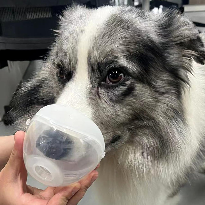 Low-Noise Large Mask Pet-Nebulizer with Custom Pet Mask, Specially Designed to Fit Snout of Cats & Puppies (Small Size)