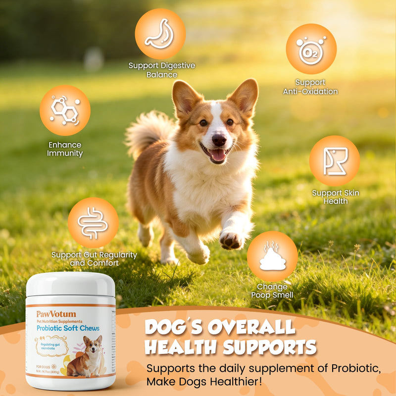 Probiotics for Dogs, Dog Probiotics for Digestive Health, with Vitamins and Fiber, for Gut and Upset Stomach, 200 Chews Supplement