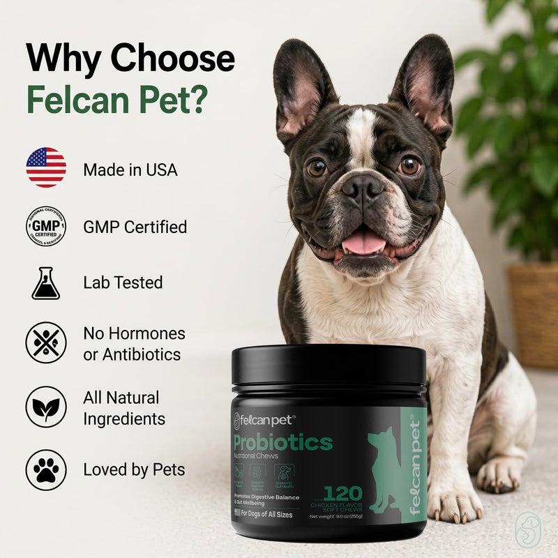 Probiotics For Dogs Soft Chews With Pumpkin, Papaya & Prebiotic Inulin – Dog Probiotic With 6-Strain Blend – Supports Dog Digestive Balance – Gut Health For Dogs – Chicken Flavor, 120 Chews