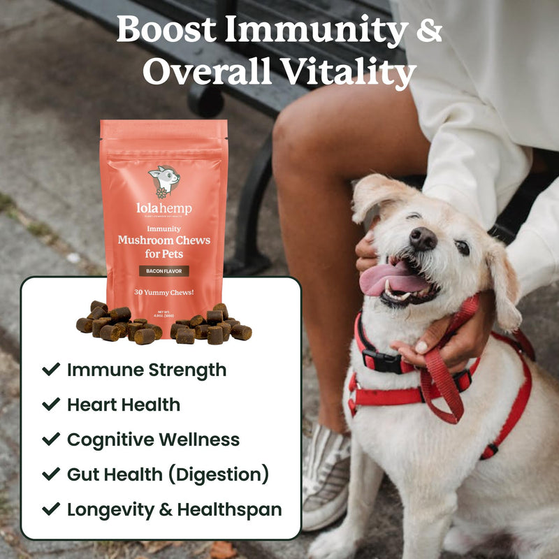 Lolahemp Mushroom Supplement for Dogs - Tasty Chews with Organic Mushroom Complex for Immune System & Cognitive Health - Turkey Tail, Reishi, Shiitake, Maitake & Lion's Mane - PawsPlanet Australia