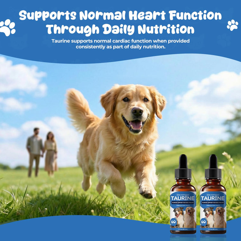 Taurine Liquid Supplement for Dogs, Daily Amino Acid Drops Supporting Heart & Muscle Function, Energy Balance & Physical Stability, 60 ml 60 ml (Pack of 2)