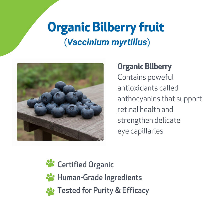 Pet Wellbeing Bilberry for Dogs - Eye & Vision Support with Antioxidants, Capillary Health, Retinal Support - NASC Certified & Vet-Formulated - 2 oz Liquid
