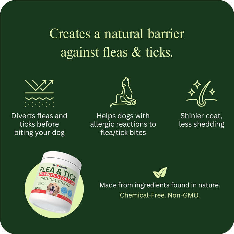 Chewable Flea and Tick Prevention for Dogs - 120 Chews (Beef) - Vet-Recommended Natural Supplement - Made in USA - Oral Dog Flea and Tick Treatment Treats for All Breeds & Sizes - VetGrade™