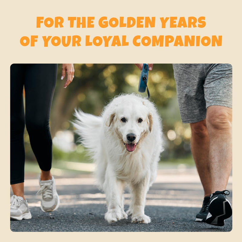 Hip and Joint Supplement for Dogs - Glucosamine and Tumeric Treats - Anti-Inflammatory Chews for Joint Health Support, Arthritis, Pain Relief - For Large and Small Breeds, Senior Dogs, Puppies 200 grams - PawsPlanet Australia