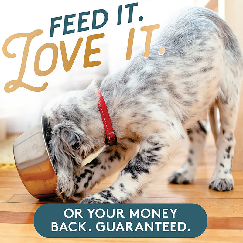 The Missing Link Pet Kelp Formula Hip & Joint 8 Ounce Dog - PawsPlanet Australia