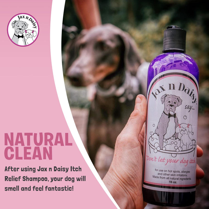Jax n Daisy Dog Shampoo - Gentle and Effective Allergy and Sensitive Skin Shampoo for Dogs - Eliminates Odors, Fleas, and Soothes Itchy Skin - Perfect for Puppies Itch Relief Shampoo 16oz - PawsPlanet Australia