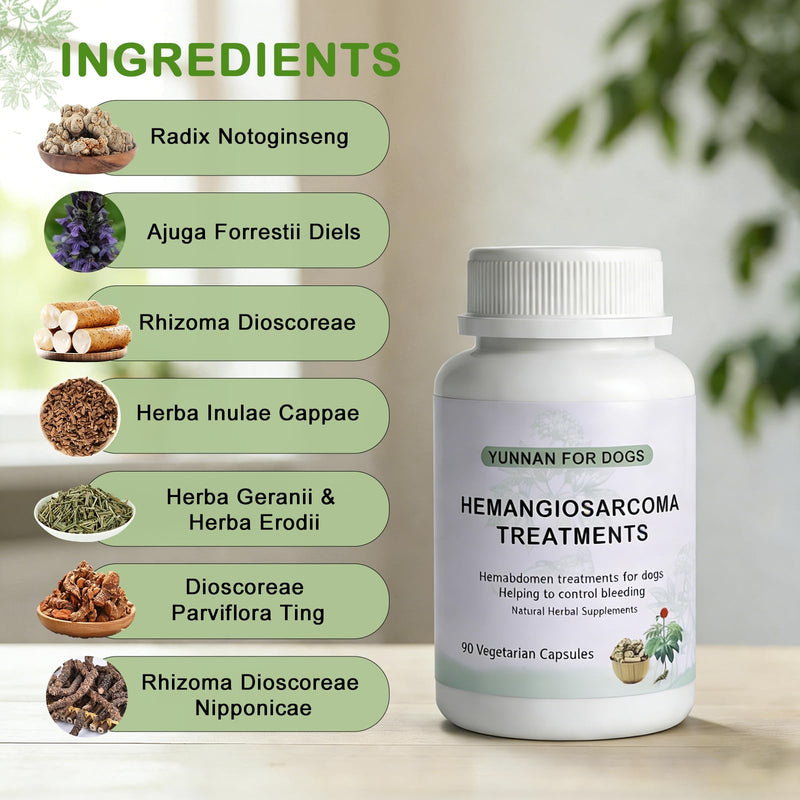 yunnan Sanqi Capsules for Dogs, Herbal Quick Stop Bleeding, Blood Support for Hemangiosarcoma, Hemoabdomen, Pericardial Effusion, Cancer Bleeding, Ulcer-Related Bleeding, Bloody Stools - 90 Capsules