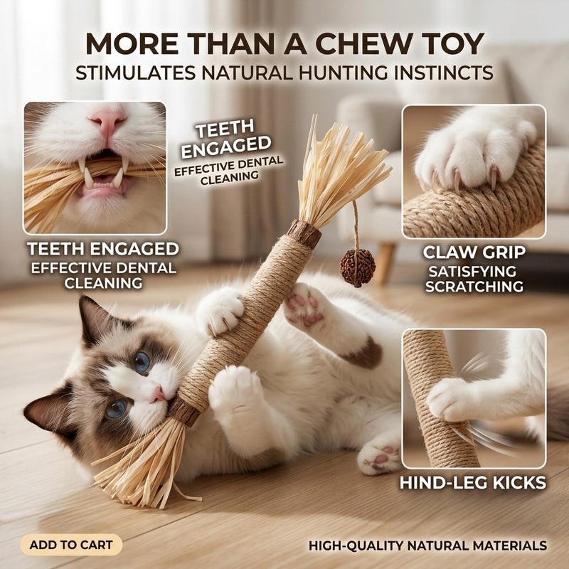 7 Pack Silvervine Sticks for Cats, Natural Kitten Grass Cat Dental Chew Toys for Teeth Cleaning, Catnip Teething Treat for Indoor Kittens, Interactive Wood Kicker for Aggressive Chewers Grass-7pcs
