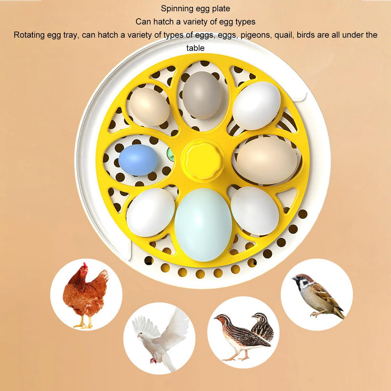 4 Eggs Mini Incubator, 7W USB Household Small Poultry Hatching Machine Automatic Temperature Humidity Control Egg Turner with Clear Lid Water Injector Spray Bottle for Chicken, Quail, Bird Eggs | ABS mini 4 egg incubator with auto turn humidity control...