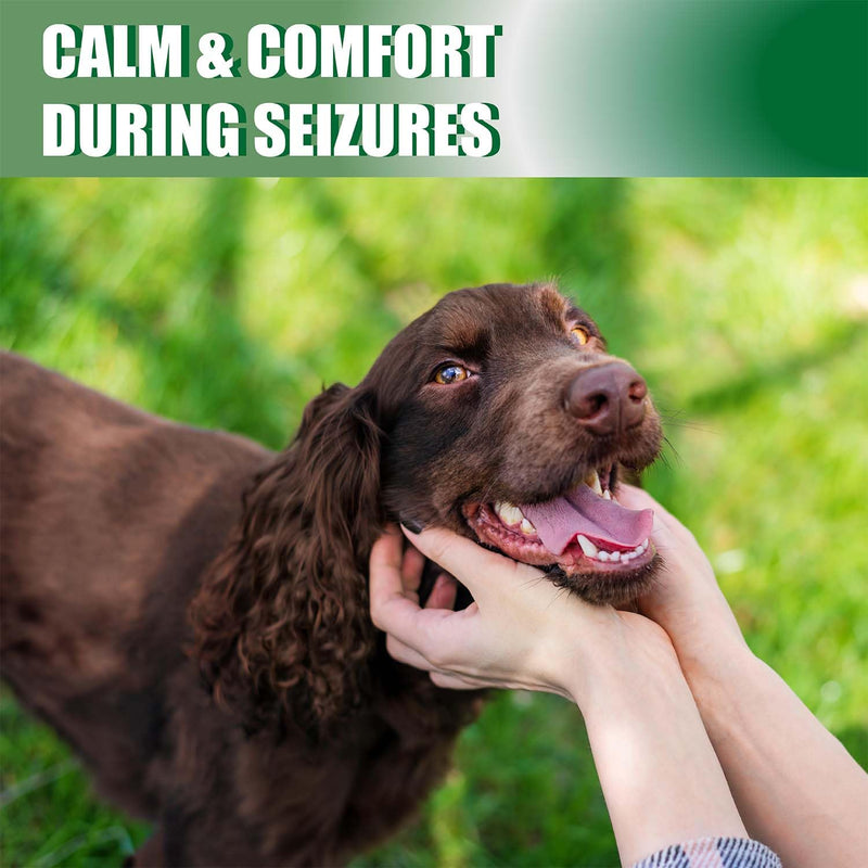 Seizure Support Powder for Dogs & Cats – Natural Epilepsy Supplement, 100g | Helps Reduce Frequency & Intensity of Seizures | Calming, Tasty, Safe Formula