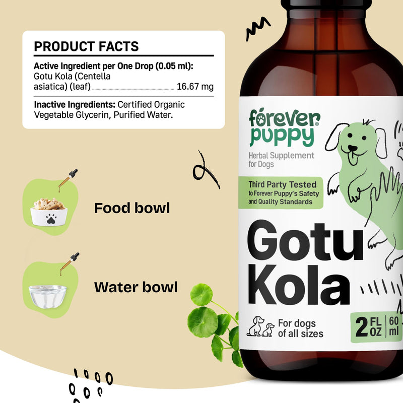 Forever Puppy Gotu Kola Drops for Dogs - Centella Asiatica & Gotu Kola Extract for Brain Health Support - Liquid Brain Supplement for Dogs of All Breeds & Sizes - 2 oz 2 fl oz